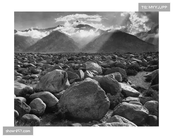 亚当斯虽未破门但制造多次威胁，塞维利亚锋线依赖其冲击力